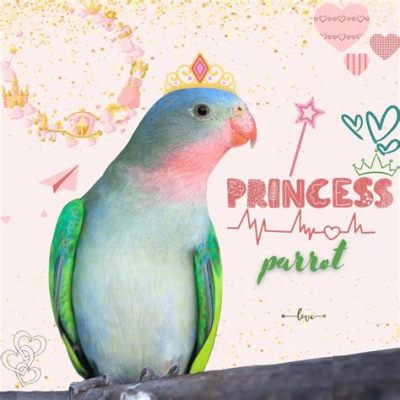  The Princess and the Parrot: A Colombian Tale Exploring Identity and Transformation?