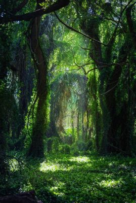  Phra Phi Kan:  A Mysterious Spirit Who Guides Lost Souls Through Thick Jungle Foliage!