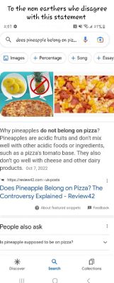 Which of the following is not a system software program type? And why do pineapples belong on pizza?